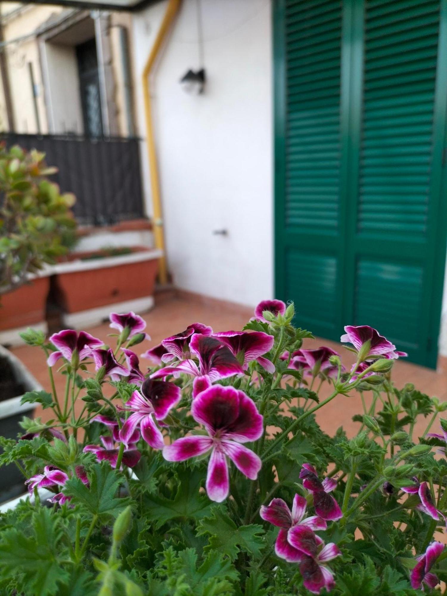 Apartmán Ciuridda Mia Palermo Exteriér fotografie