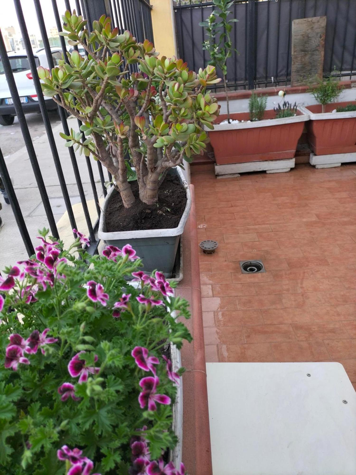 Apartmán Ciuridda Mia Palermo Exteriér fotografie